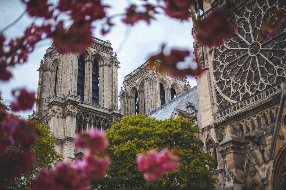 Kathedrale von Notre Dame | © Pexels