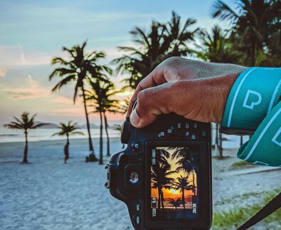 Sonnenuntergang und Palmen am Display einer Kamera | © Pexels