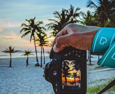 Sonnenuntergang und Palmen am Display einer Kamera | © Pexels