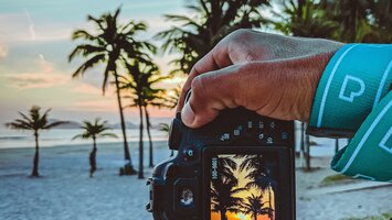 Sonnenuntergang und Palmen am Display einer Kamera | © Pexels