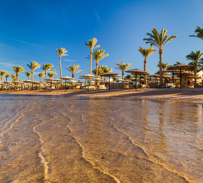 Strand mit Palmen in Hurghada  | © Envato Elements