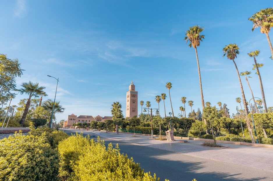 Palmengarten vor der Koutoubia Moschee in Marrakesch | © Envato Elements